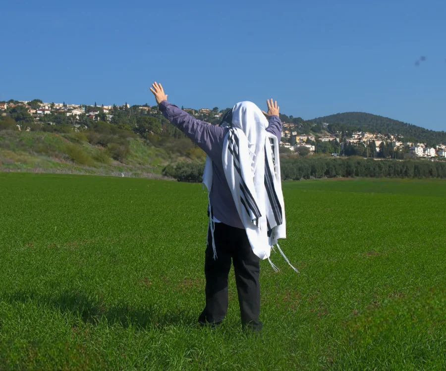 in_field_emek_yizrael_1101