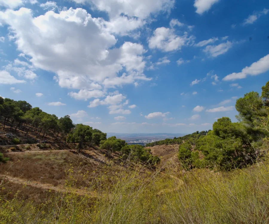 jezreel valley_11101