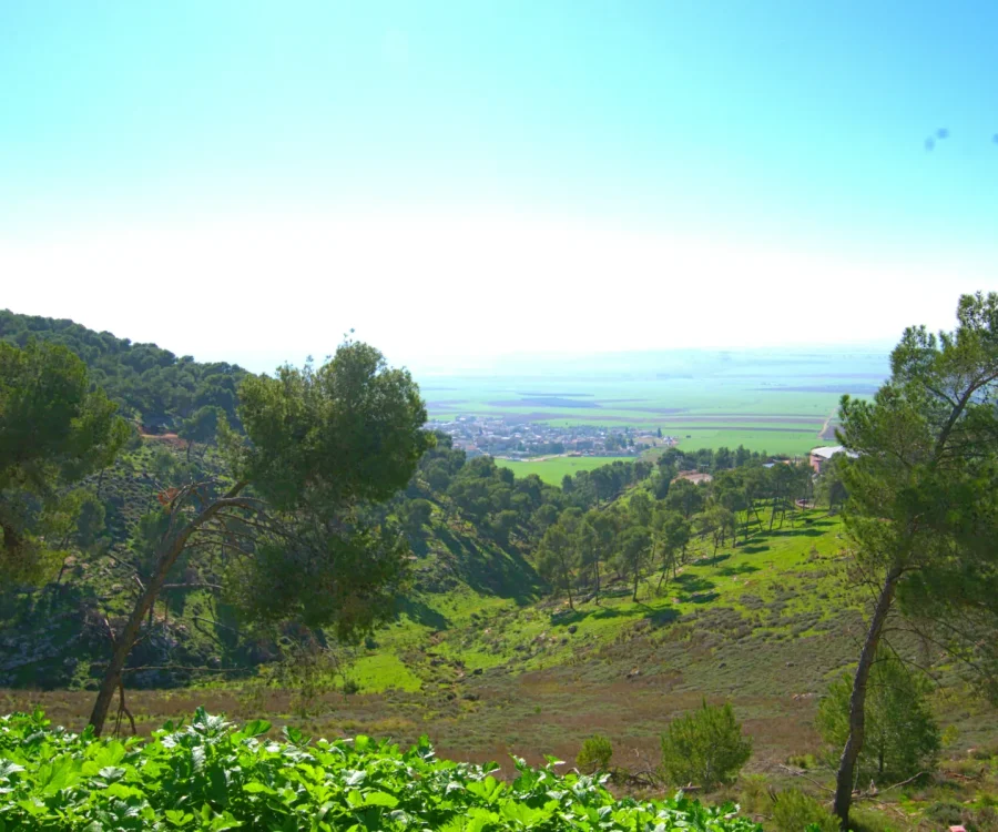 jezreel valley_11104