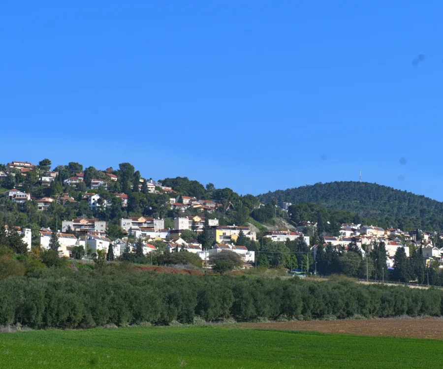 jezreel valley_11105