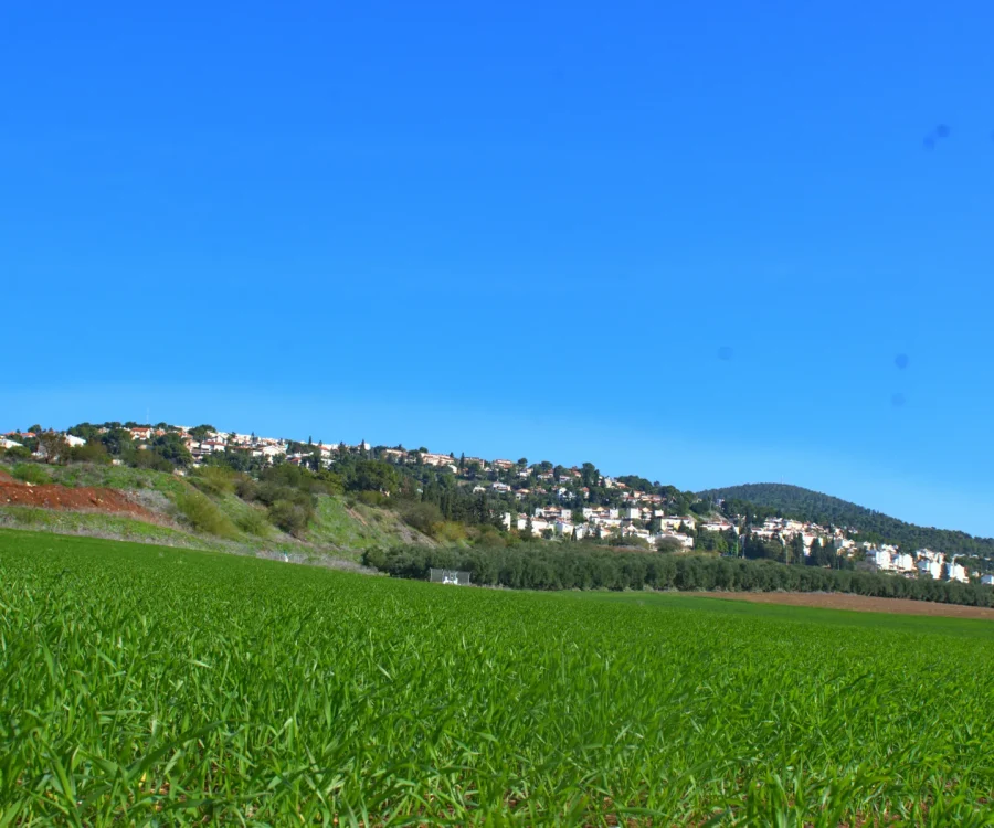 jezreel valley_11106