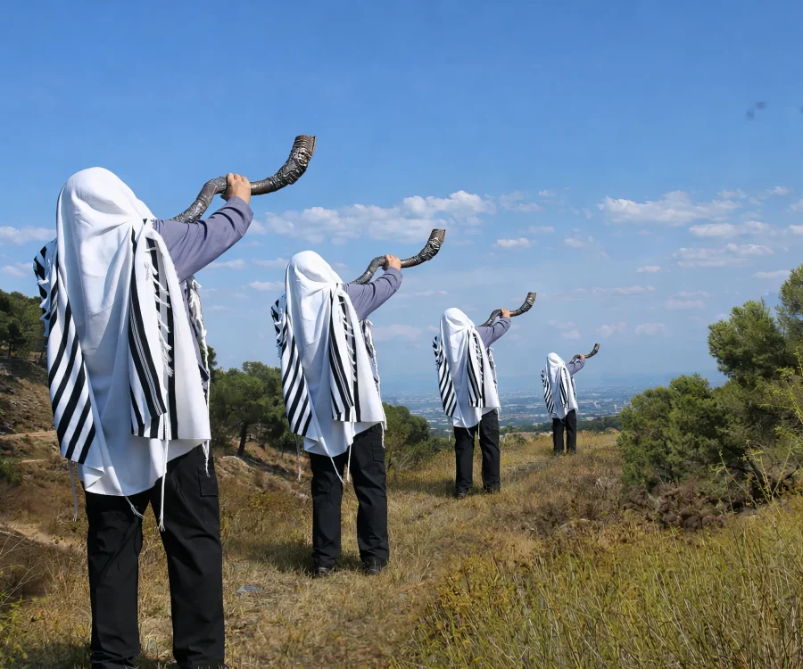 multi_shofar_1101