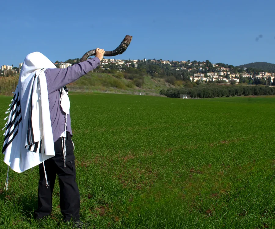 shofar_in_field_emek_yizrael_1101